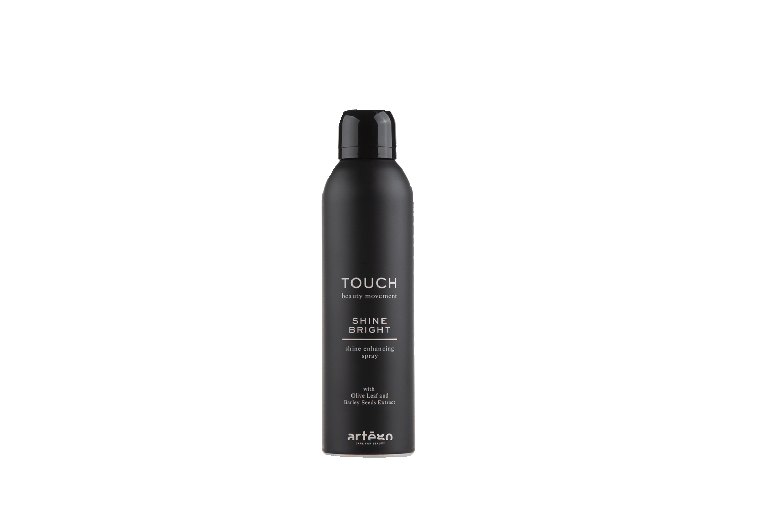 Shine Bright Сухой спрей для блеска Touch 250ml